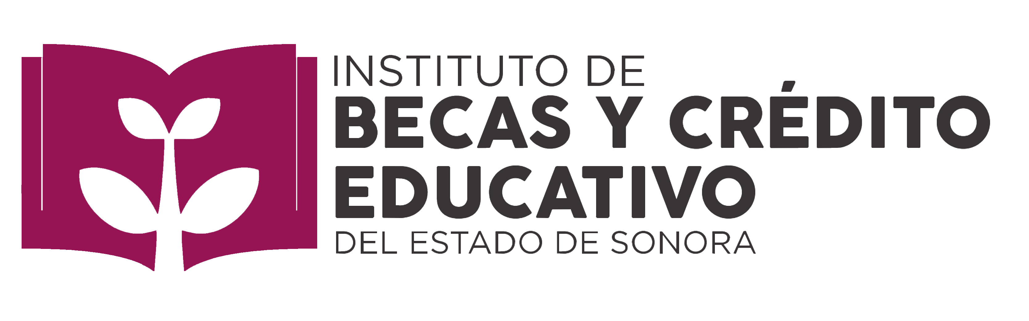 Enlace